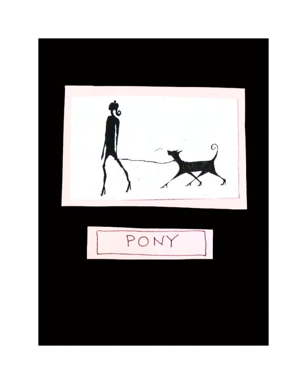 Pony - artwork by Laurie Zallen